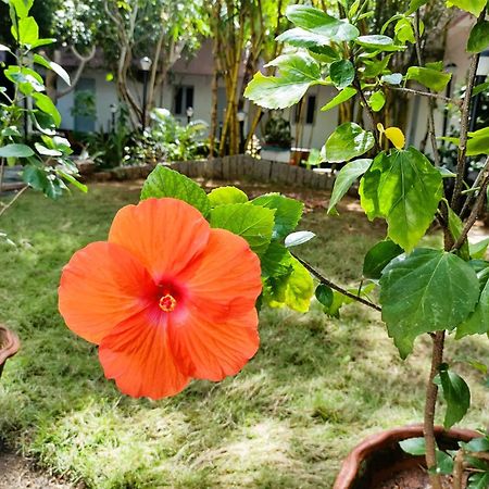 The Well Beach Side Guest House Auroville Exterior foto